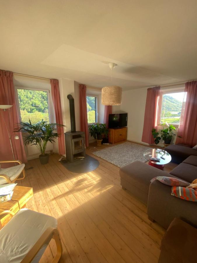 Helles, Gemuetliches Haus Mit Moselblick Müden Exterior foto